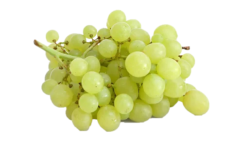 Tafeltrauben