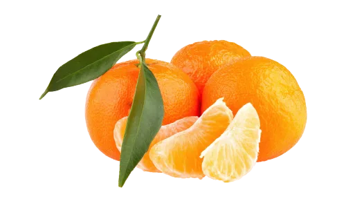 Mandarinen