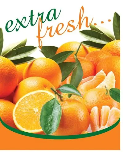 “Extra fresh” — Extra Fruit brand artwork with oranges and mandarins