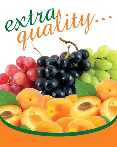 “Extra quality” — Extra Fruit brand artwork with table grapes and apricots