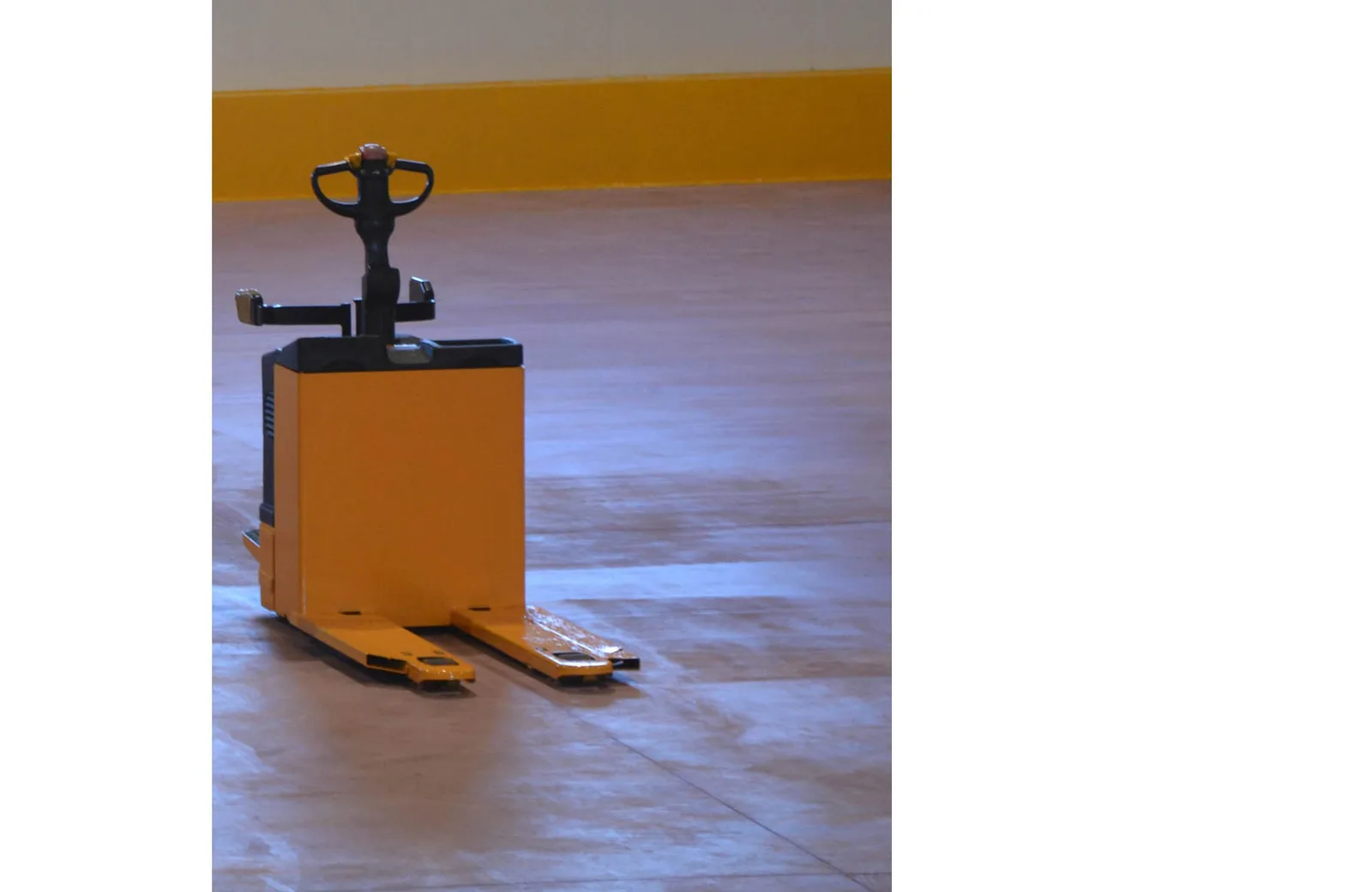 Inside our packing house — sorting and grading lines
