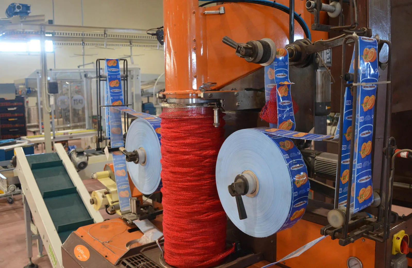 Inside our packing house — sorting and grading lines