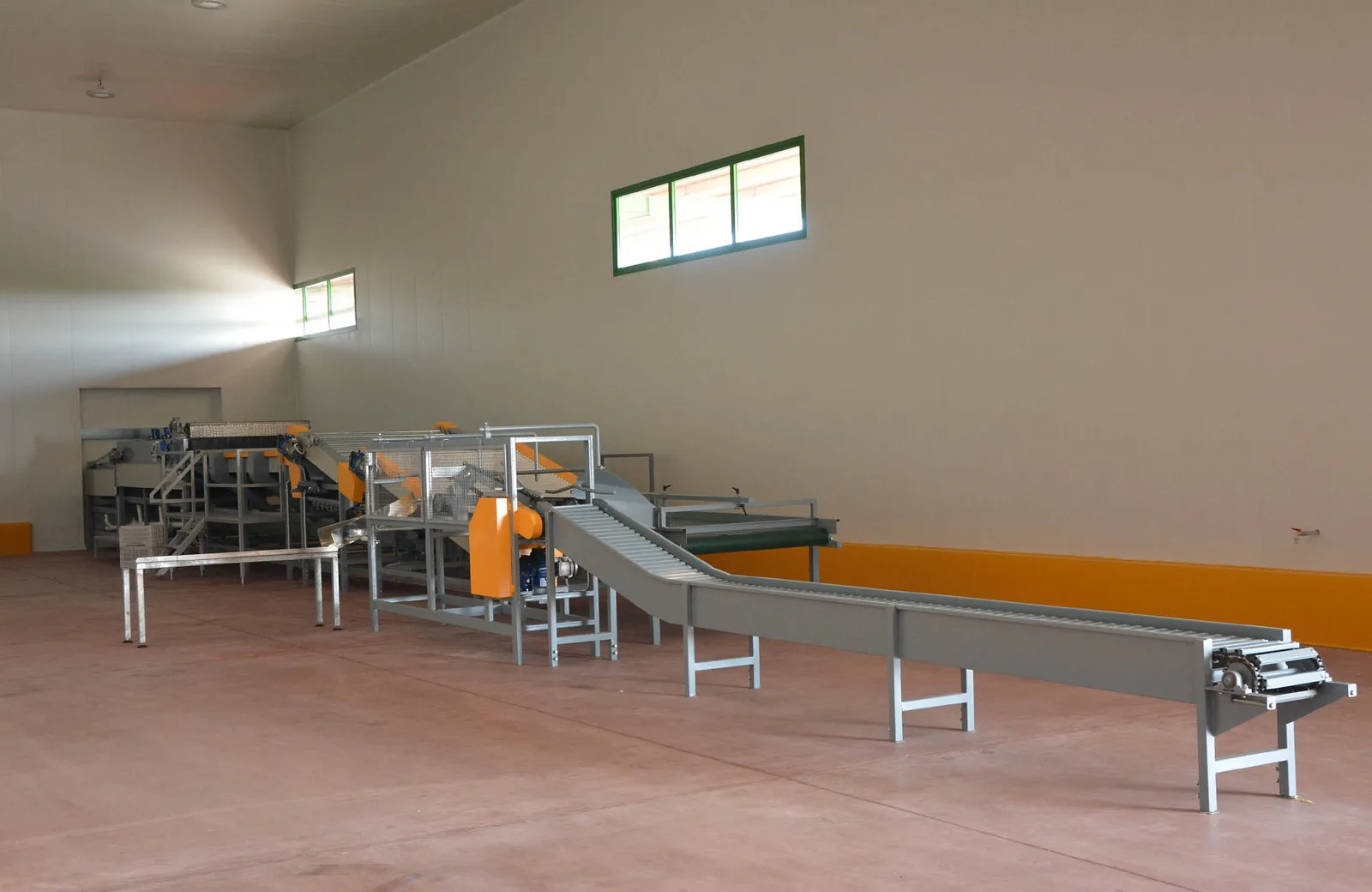 Inside our packing house — sorting and grading lines