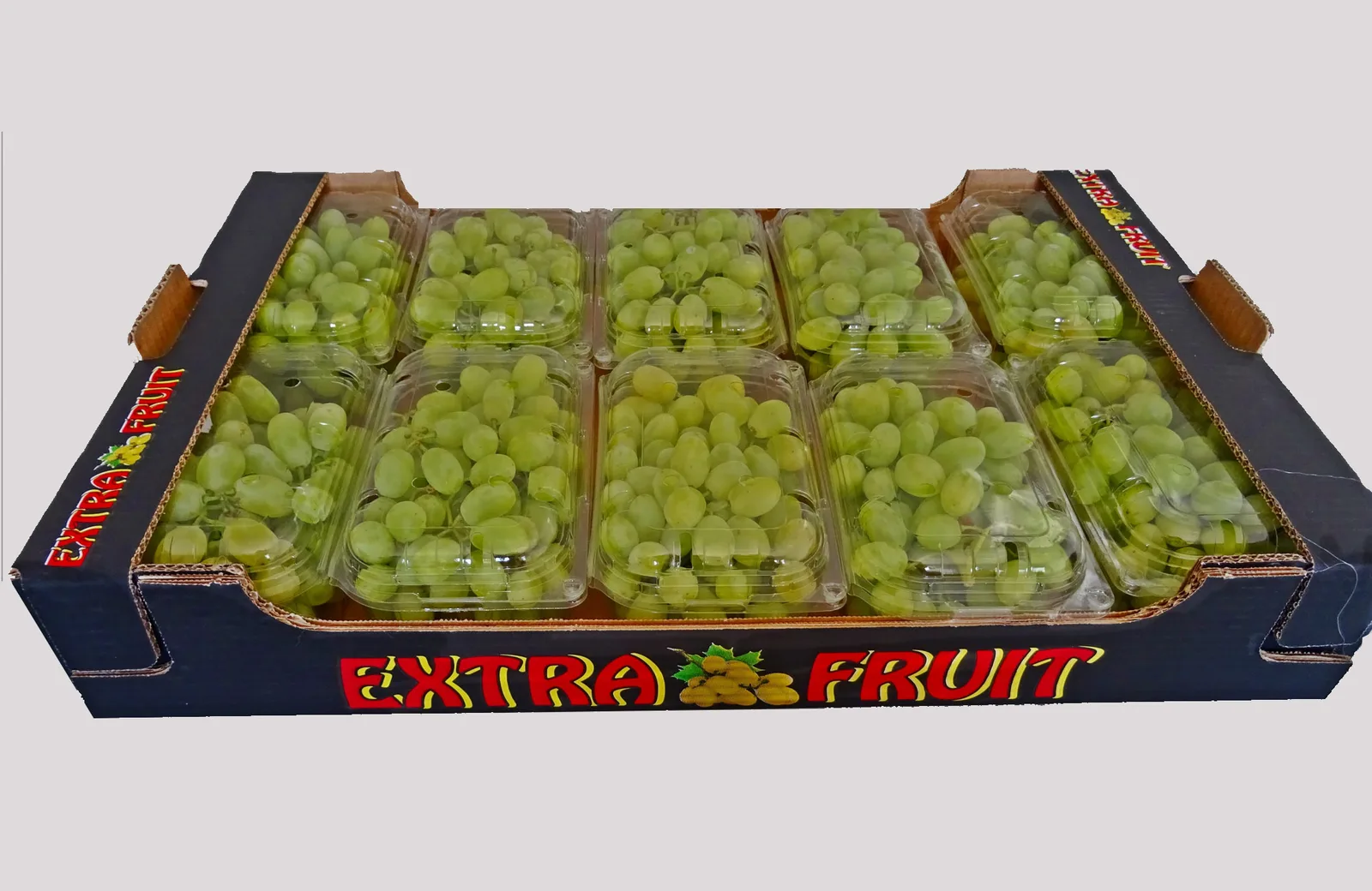 Table grapes ready for cold-chain dispatch