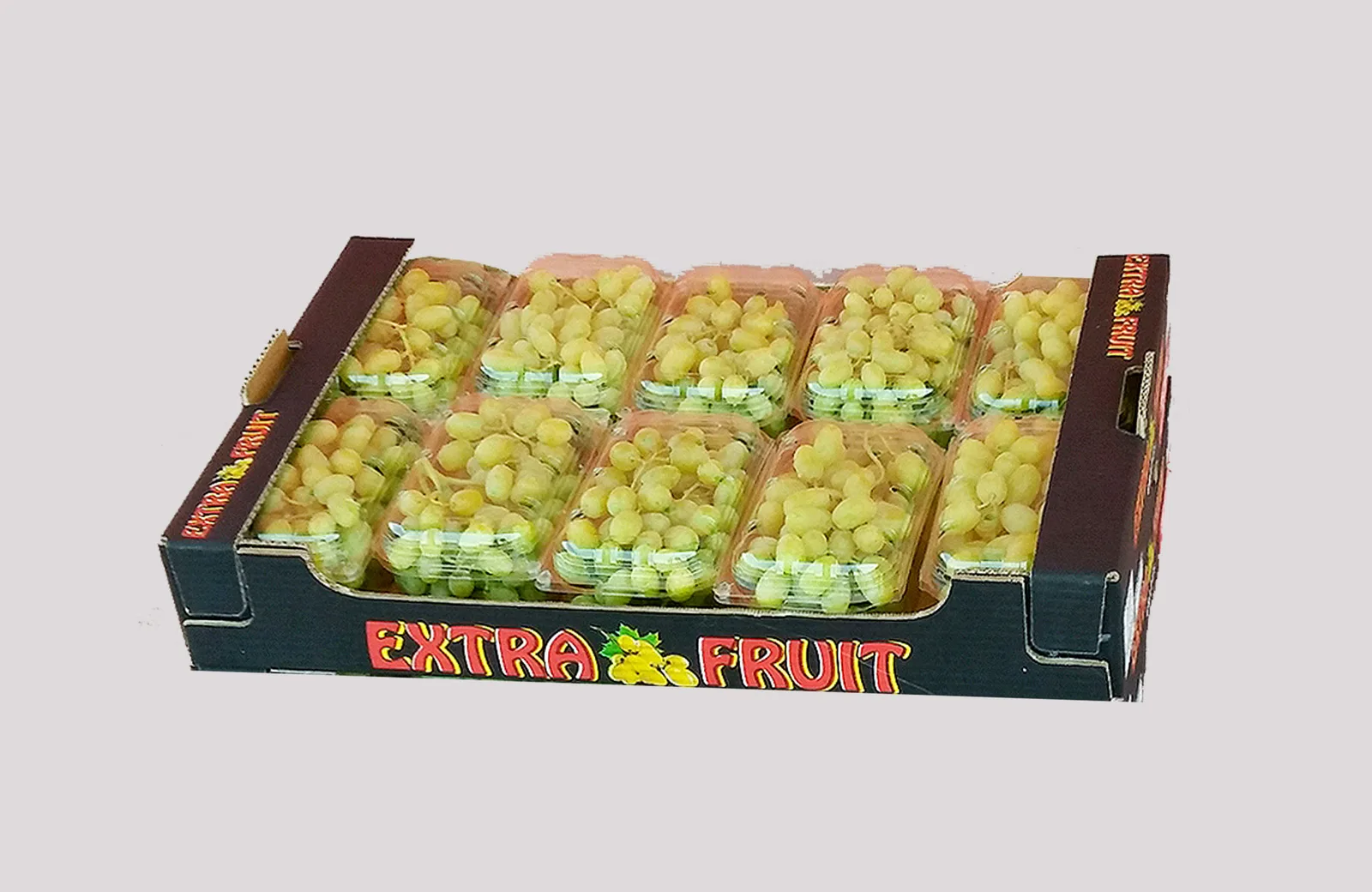 Table grapes ready for cold-chain dispatch