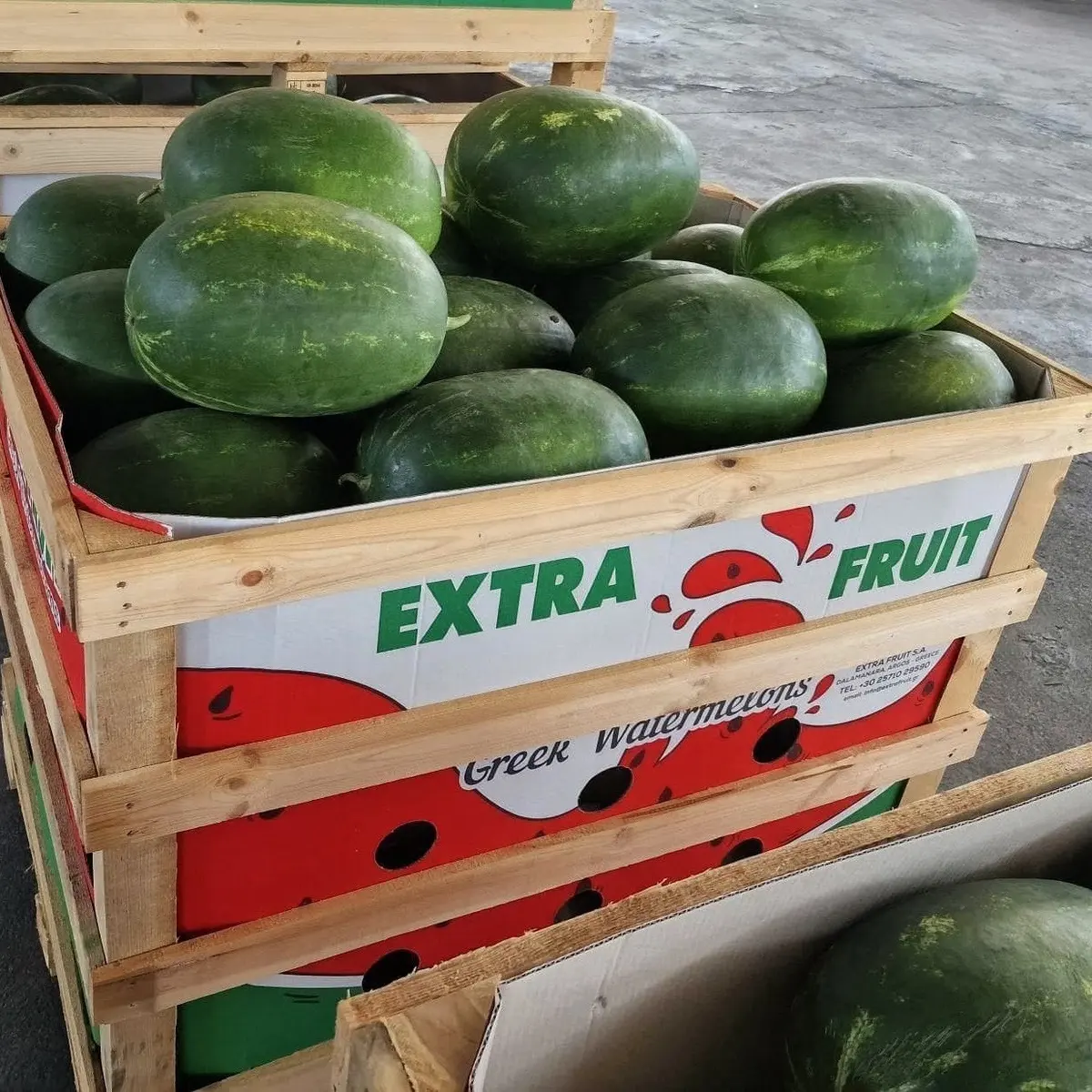 Close-up of an Extra Fruit crate packed with Greek watermelons